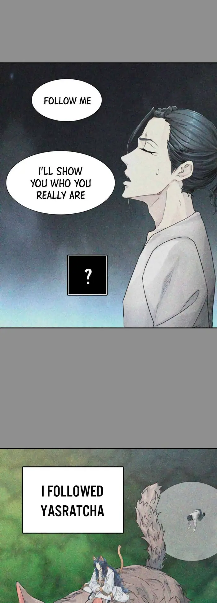 Tower of God Chapter 494 image 025_optimized